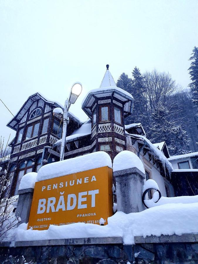 Vila Bradet Buşteni Eksteriør billede